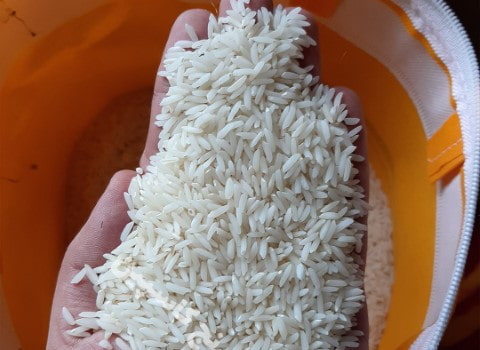 https://shp.aradbranding.com/خرید برنج طارم محلی ممتاز + قیمت فروش استثنایی